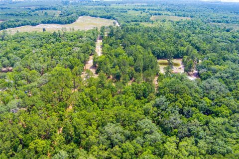 Land in Lake City, Florida № 1845330 - photo 12