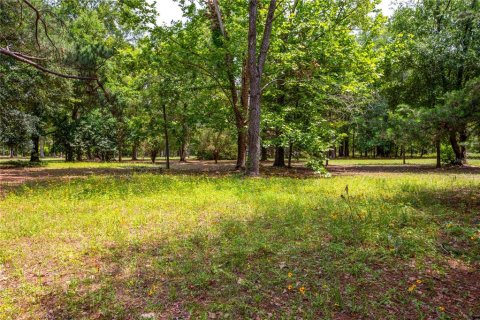 Land in Lake City, Florida № 1845330 - photo 9