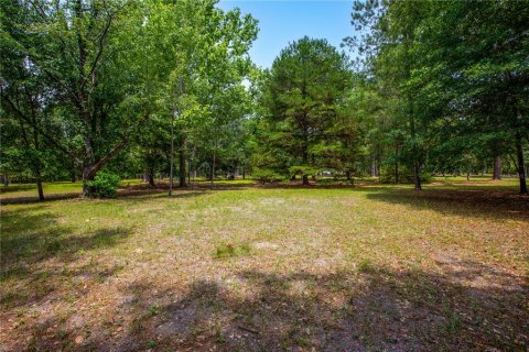 Land in Lake City, Florida № 1845330 - photo 8