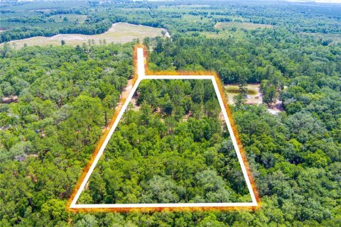 Land in Lake City, Florida № 1845330 - photo 15