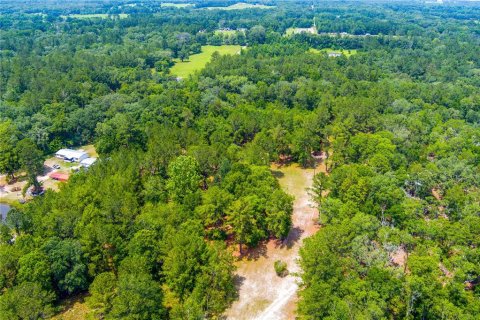 Land in Lake City, Florida № 1845330 - photo 13