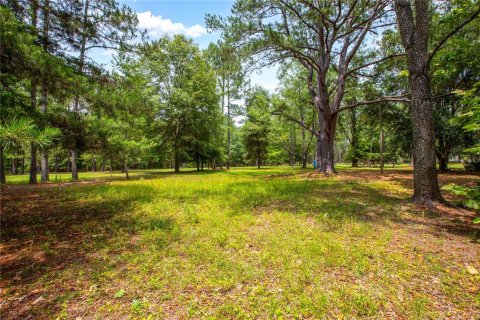 Land in Lake City, Florida № 1845330 - photo 7