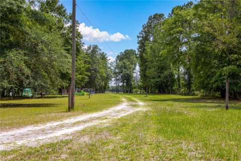 Land in Lake City, Florida № 1845330 - photo 10
