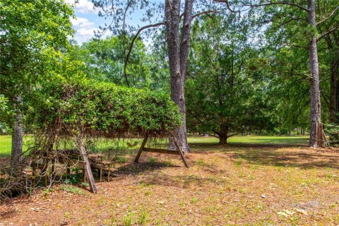Land in Lake City, Florida № 1845330 - photo 6