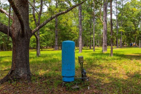 Land in Lake City, Florida № 1845330 - photo 3