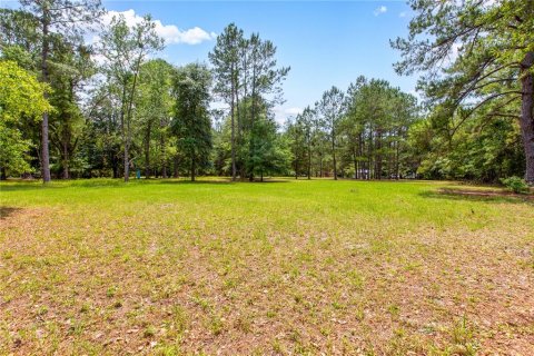 Land in Lake City, Florida № 1845330 - photo 5