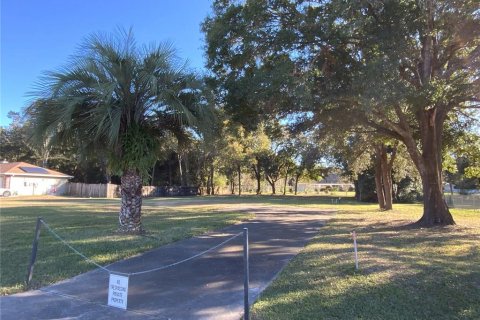 Terrain à vendre à Ocala, Floride № 1869830 - photo 4