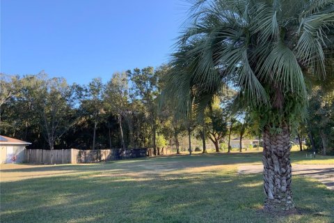Terrain à vendre à Ocala, Floride № 1869830 - photo 5