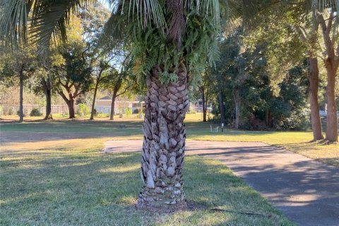 Terrain à vendre à Ocala, Floride № 1869830 - photo 6