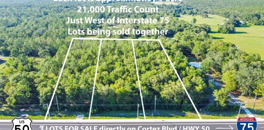 Land in Brooksville, Florida № 1561718