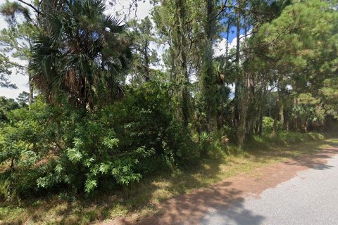 Land in North Port, Florida № 2166117 - photo 2