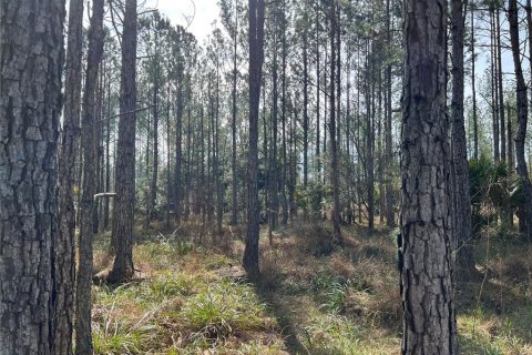Terrain à vendre à Fort MC Coy, Floride № 1911684 - photo 26