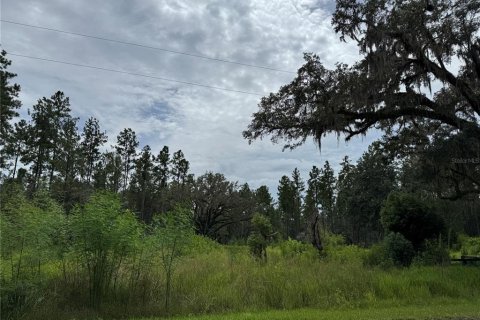 Terrain à vendre à Fort MC Coy, Floride № 1911684 - photo 5