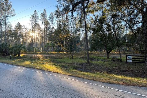 Terrain à vendre à Fort MC Coy, Floride № 1911684 - photo 25