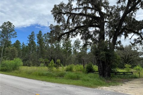 Terrain à vendre à Fort MC Coy, Floride № 1911684 - photo 3