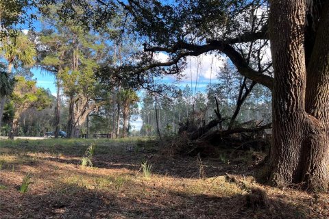 Terrain à vendre à Fort MC Coy, Floride № 1911684 - photo 24