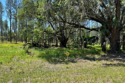 Terrain à vendre à Fort MC Coy, Floride № 1911684 - photo 28