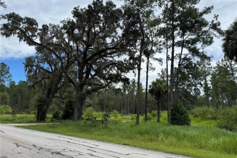 Terrain à vendre à Fort MC Coy, Floride № 1911684 - photo 6