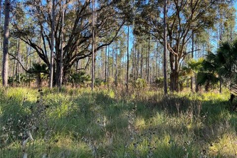 Terrain à vendre à Fort MC Coy, Floride № 1911684 - photo 22