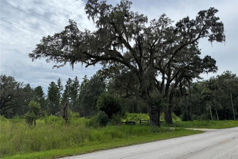 Terrain à vendre à Fort MC Coy, Floride № 1911684 - photo 4