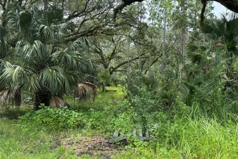 Terrain à vendre à Fort MC Coy, Floride № 1911684 - photo 14