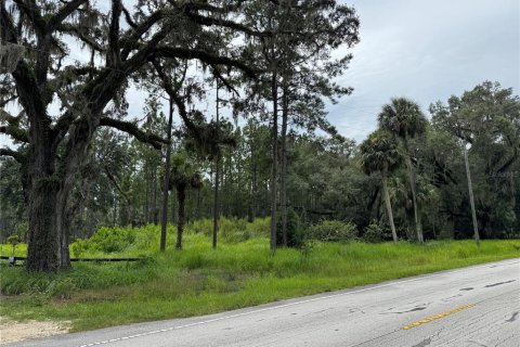 Terrain à vendre à Fort MC Coy, Floride № 1911684 - photo 2