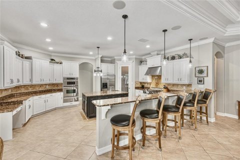Villa ou maison à vendre à Fish Hawk, Floride: 4 chambres, 438.68 m2 № 2204096 - photo 11