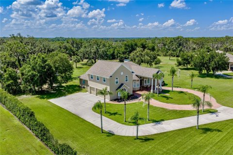 Villa ou maison à vendre à Fish Hawk, Floride: 4 chambres, 438.68 m2 № 2204096 - photo 3