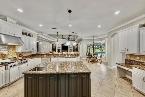 Villa ou maison à vendre à Fish Hawk, Floride: 4 chambres, 438.68 m2 № 2204096 - photo 13