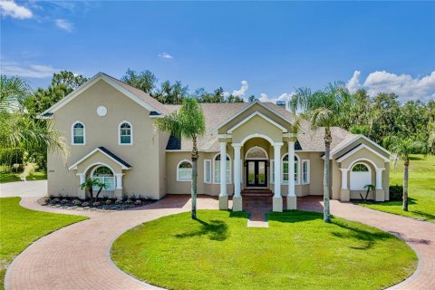 Villa ou maison à Fish Hawk, Floride 4 chambres, 438.68 m2 № 2204096