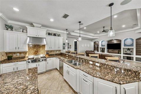 Villa ou maison à vendre à Fish Hawk, Floride: 4 chambres, 438.68 m2 № 2204096 - photo 16