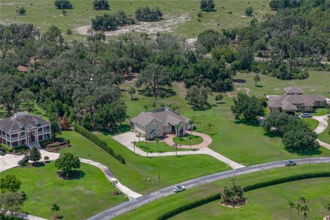 Villa ou maison à vendre à Fish Hawk, Floride: 4 chambres, 438.68 m2 № 2204096 - photo 2