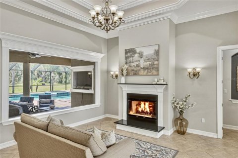 Villa ou maison à vendre à Fish Hawk, Floride: 4 chambres, 438.68 m2 № 2204096 - photo 7