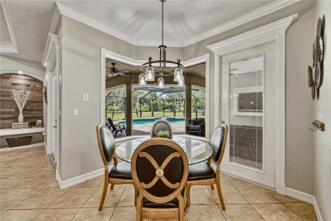 Villa ou maison à vendre à Fish Hawk, Floride: 4 chambres, 438.68 m2 № 2204096 - photo 18