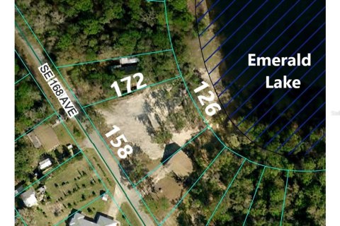 Land in Ocklawaha, Florida № 2353321