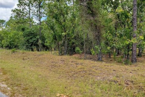 Terrain à Dunnellon, Floride № 2165559