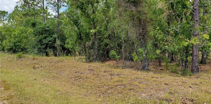 Terrain à Dunnellon, Floride № 2165559