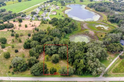 Villa ou maison à vendre à Altoona, Floride: 3 chambres, 157.93 m2 № 2389418 - photo 2