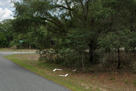 Land in Dunnellon, Florida № 2210813