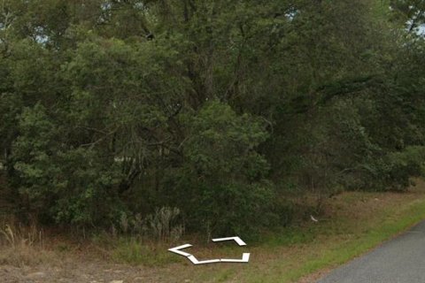 Land in Dunnellon, Florida № 2210813 - photo 2