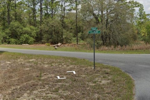 Land in Dunnellon, Florida № 2210813 - photo 3