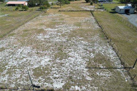 Land in Frostproof, Florida № 1534693 - photo 3