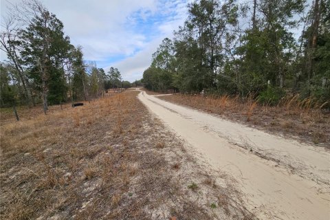 Terrain à vendre à Williston, Floride № 2144228 - photo 4