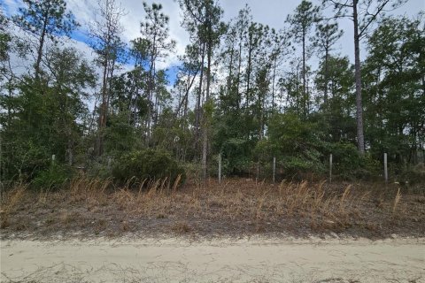 Terrain à vendre à Williston, Floride № 2144228 - photo 2