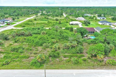 Terreno en venta en Lehigh Acres, Florida № 2164321 - foto 6