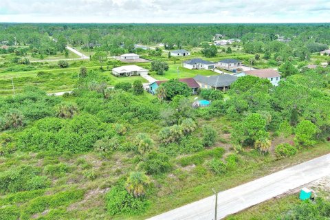 Terreno en venta en Lehigh Acres, Florida № 2164321 - foto 3