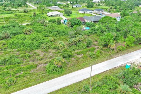 Terreno en venta en Lehigh Acres, Florida № 2164321 - foto 4