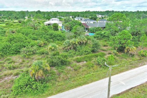 Terreno en Lehigh Acres, Florida № 2164321