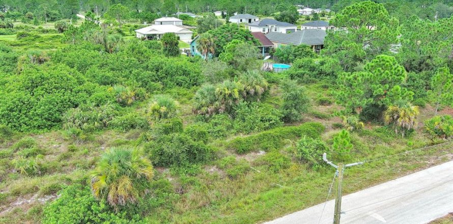 Terreno en Lehigh Acres, Florida № 2164321