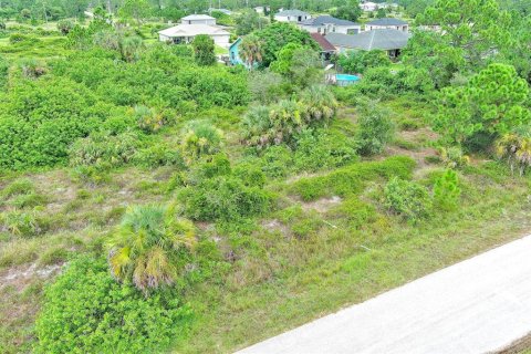 Terreno en venta en Lehigh Acres, Florida № 2164321 - foto 2